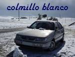 colmilloblanco